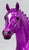 German Riding Pony ~ Gabriel, Purple - 2022 Christmas Web Special