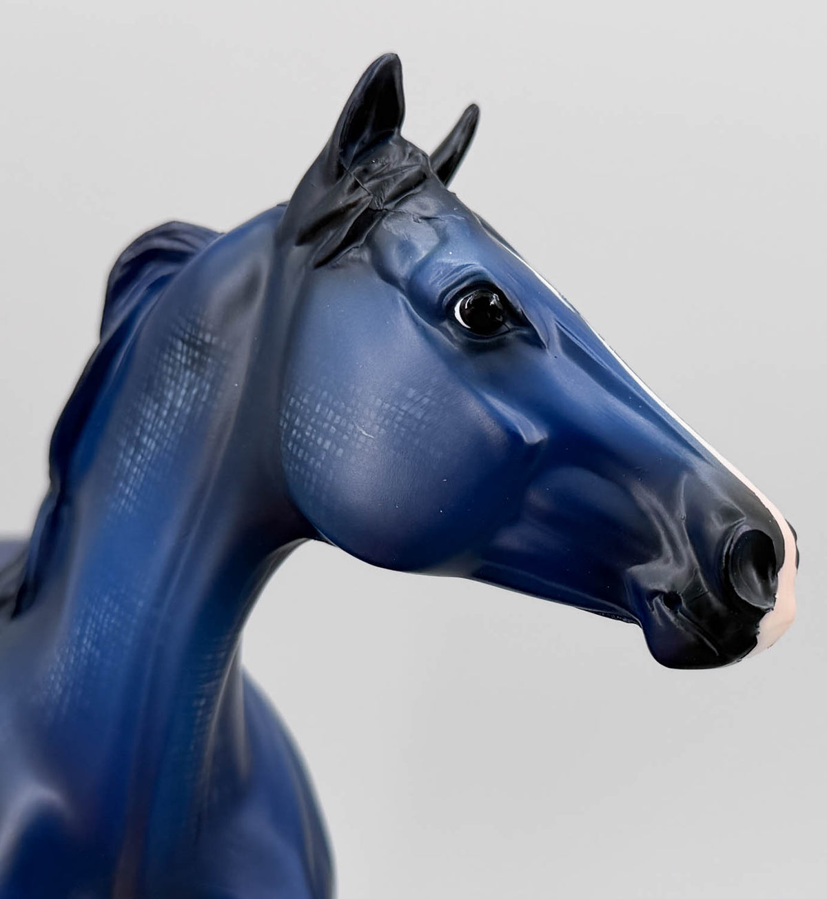 Geronimo ~ Blue - FFA Benefit Model - TSC SR