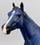 Geronimo ~ Blue - FFA Benefit Model - TSC SR