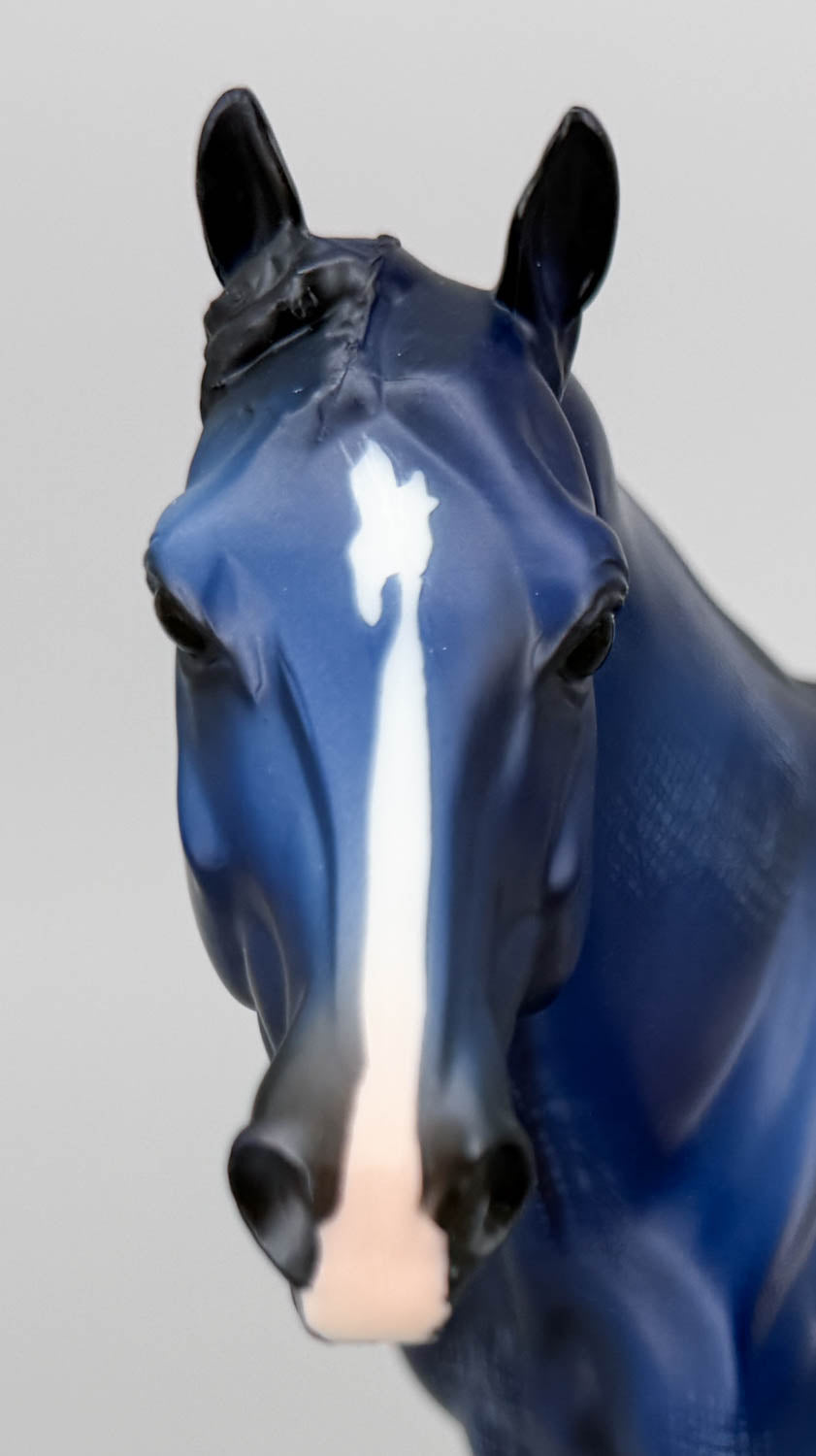 Geronimo ~ Blue - FFA Benefit Model - TSC SR