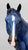 Geronimo ~ Blue - FFA Benefit Model - TSC SR