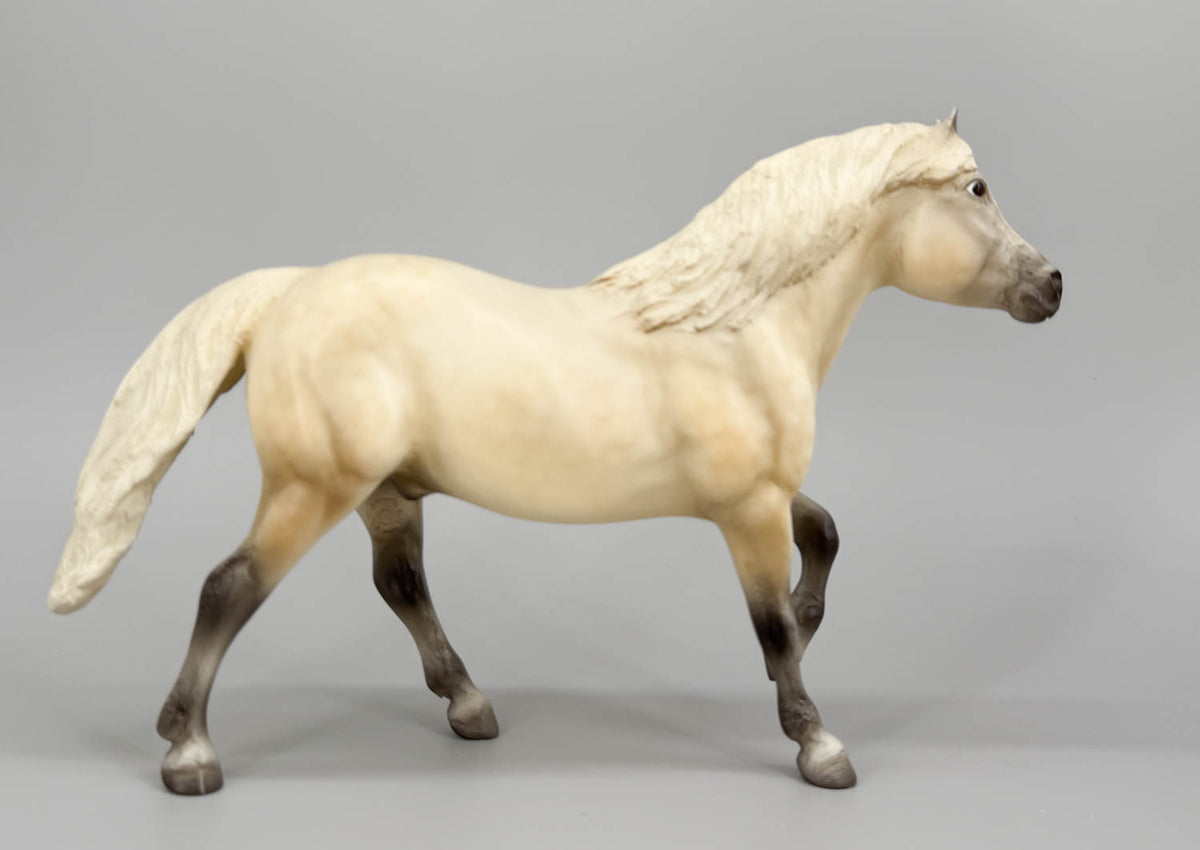 Haflinger ~ Highland Pony, "Cream Dun" - Best of British Series