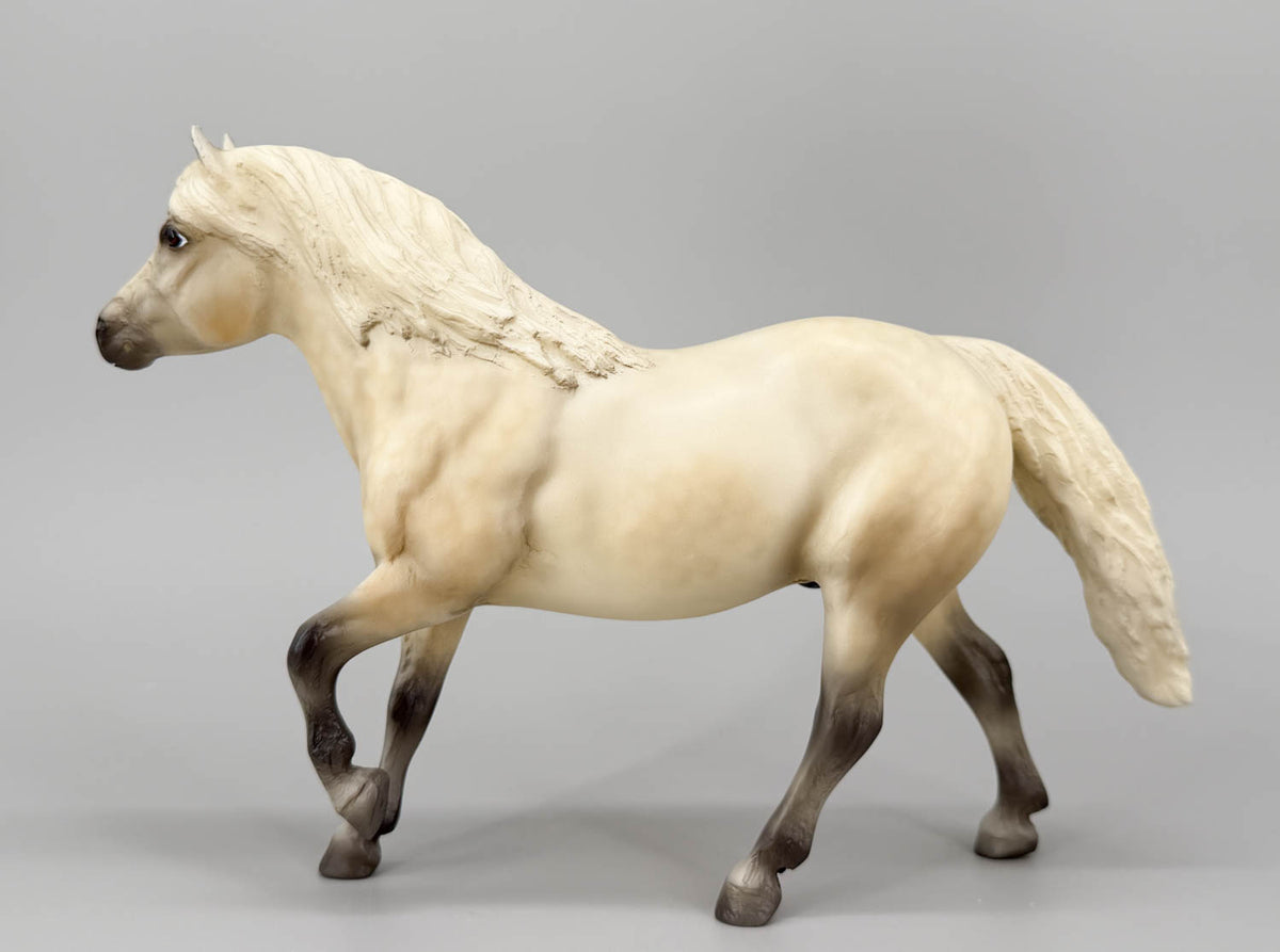 Haflinger ~ Highland Pony, "Cream Dun" - Best of British Series