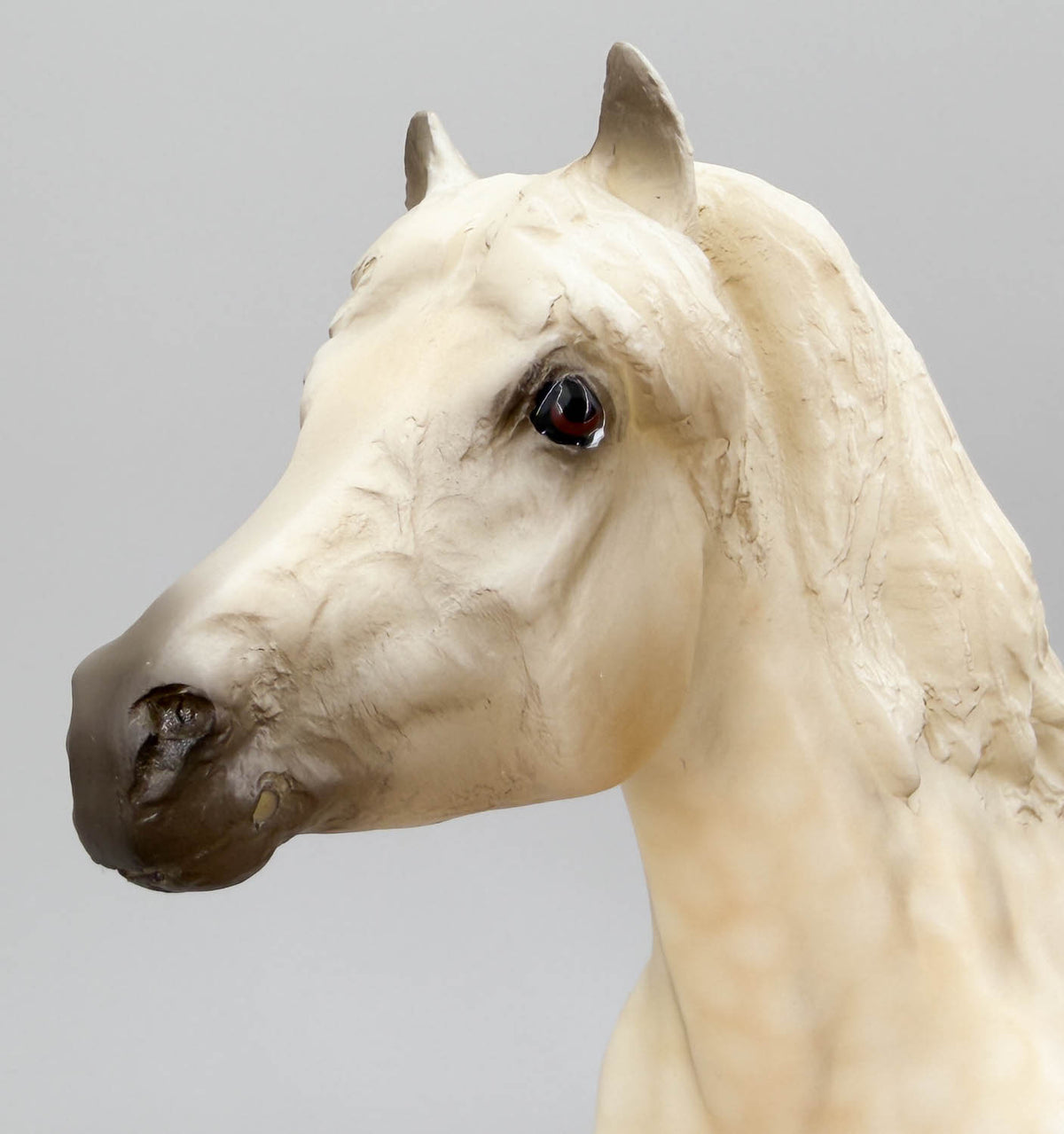 Haflinger ~ Highland Pony, "Cream Dun" - Best of British Series