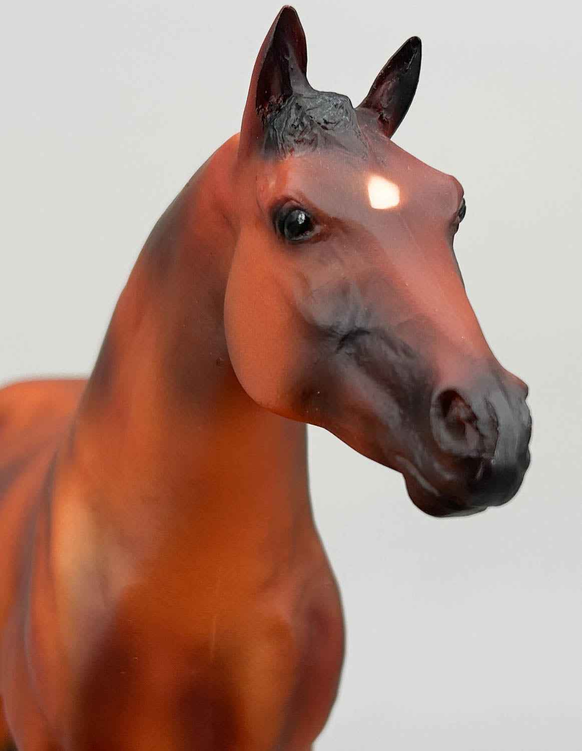 Ideal Quarter Horse ~ Offspring of Jet Deck