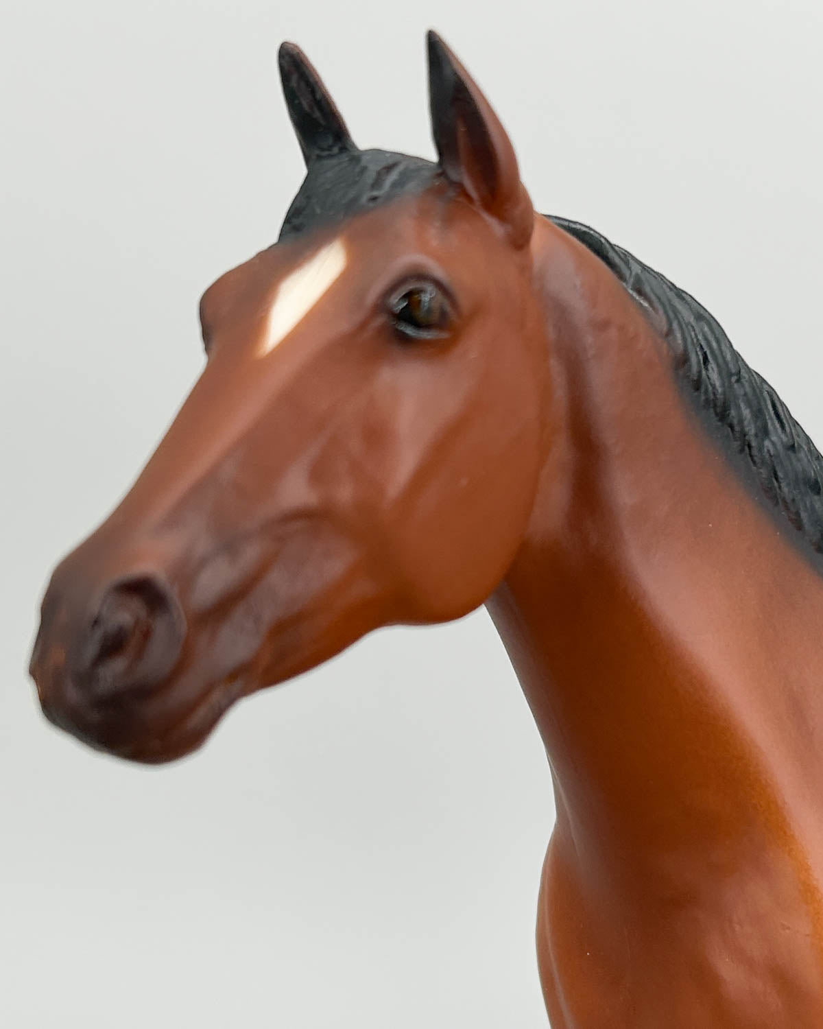 Ideal Quarter Horse ~ Progeny of King P-234
