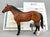 Ideal Quarter Horse ~ Progeny of King P-234