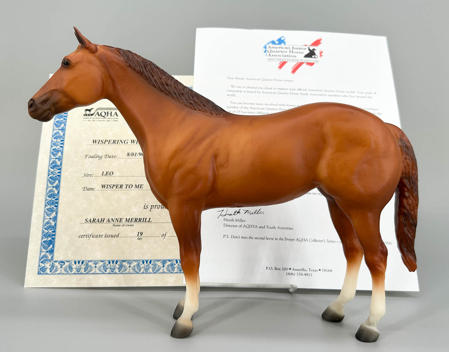 Ideal Quarter Horse ~ 1996 American Quarter Horse (Progeny of Leo)