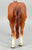 Ideal Quarter Horse ~ 1996 American Quarter Horse (Progeny of Leo)