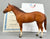 Ideal Quarter Horse ~ 1996 American Quarter Horse (Progeny of Leo)