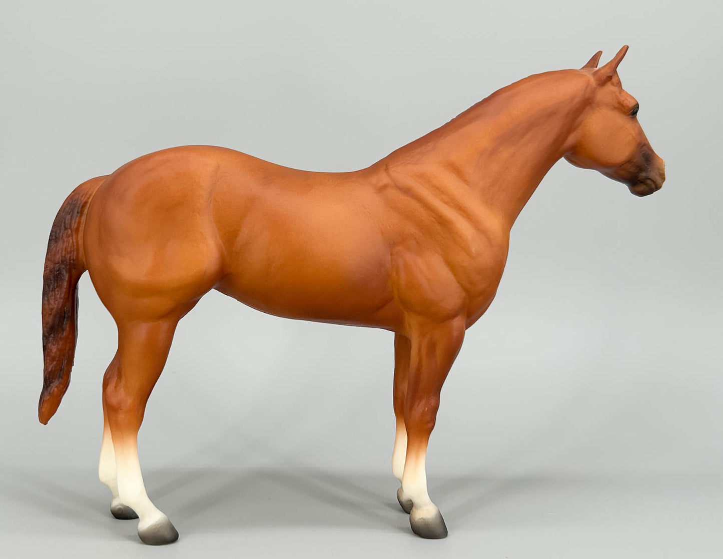 Ideal Quarter Horse ~ 1996 American Quarter Horse (Progeny of Leo)