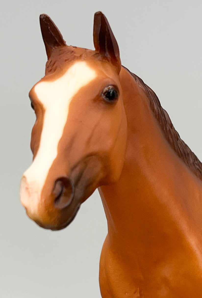Ideal Quarter Horse ~ 1996 American Quarter Horse (Progeny of Leo)