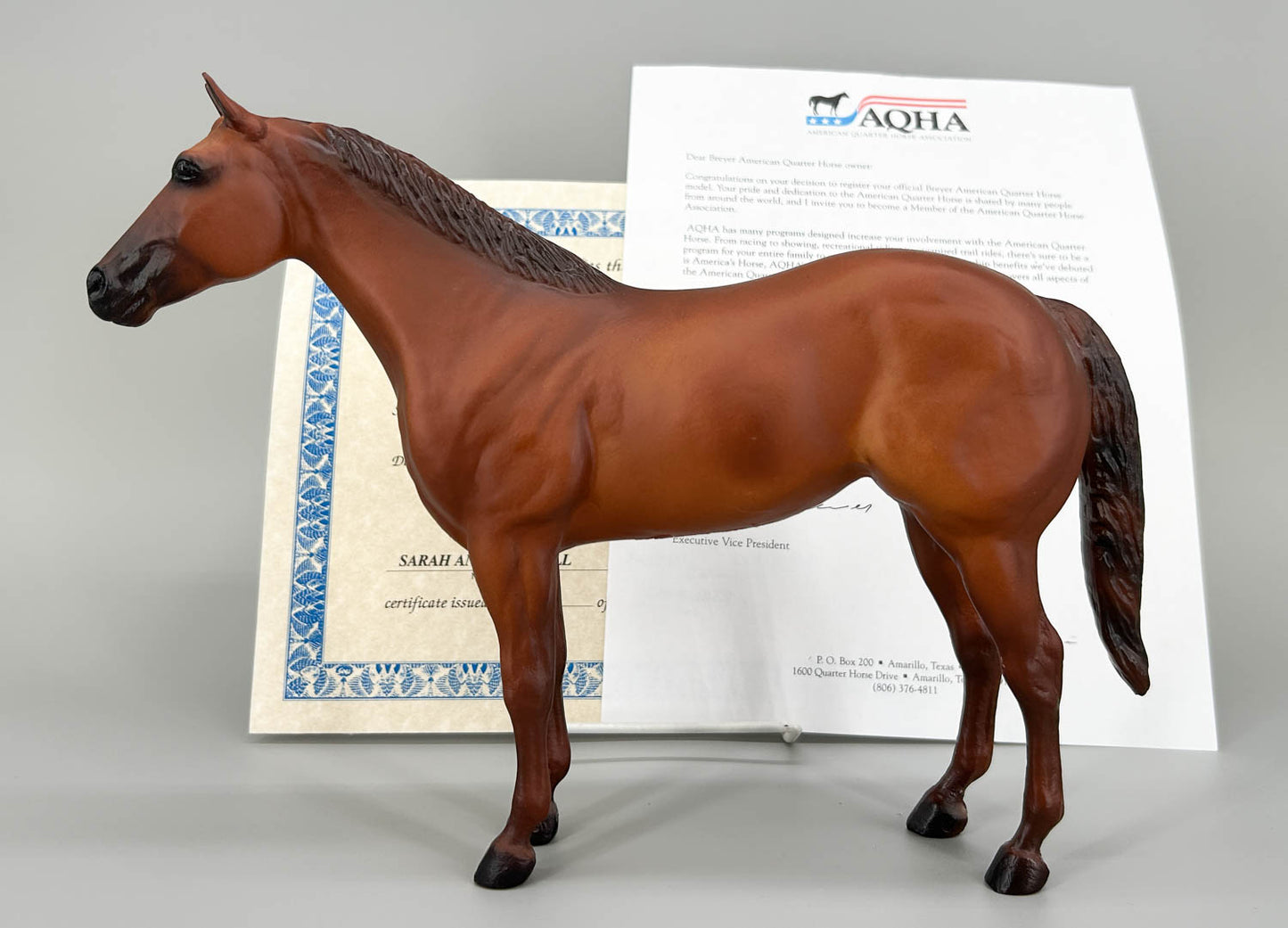 Ideal Quarter Horse ~ Progeny of Wimpy P-1