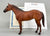 Ideal Quarter Horse ~ Progeny of Wimpy P-1