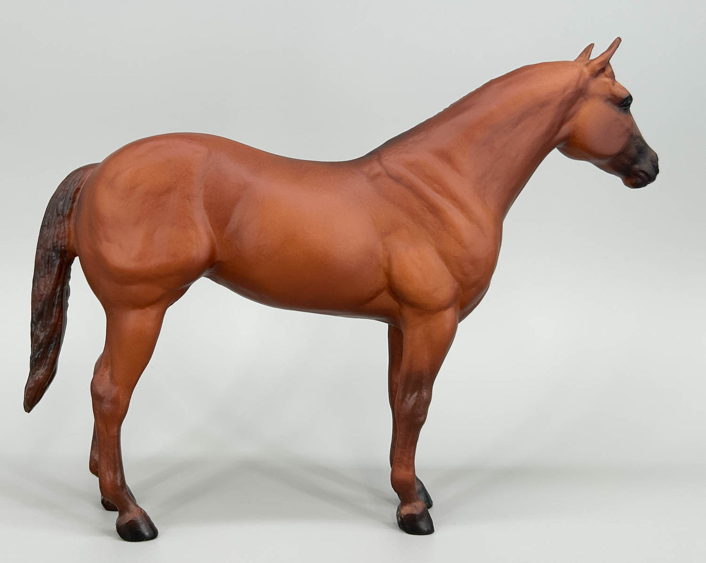 Ideal Quarter Horse ~ Progeny of Wimpy P-1
