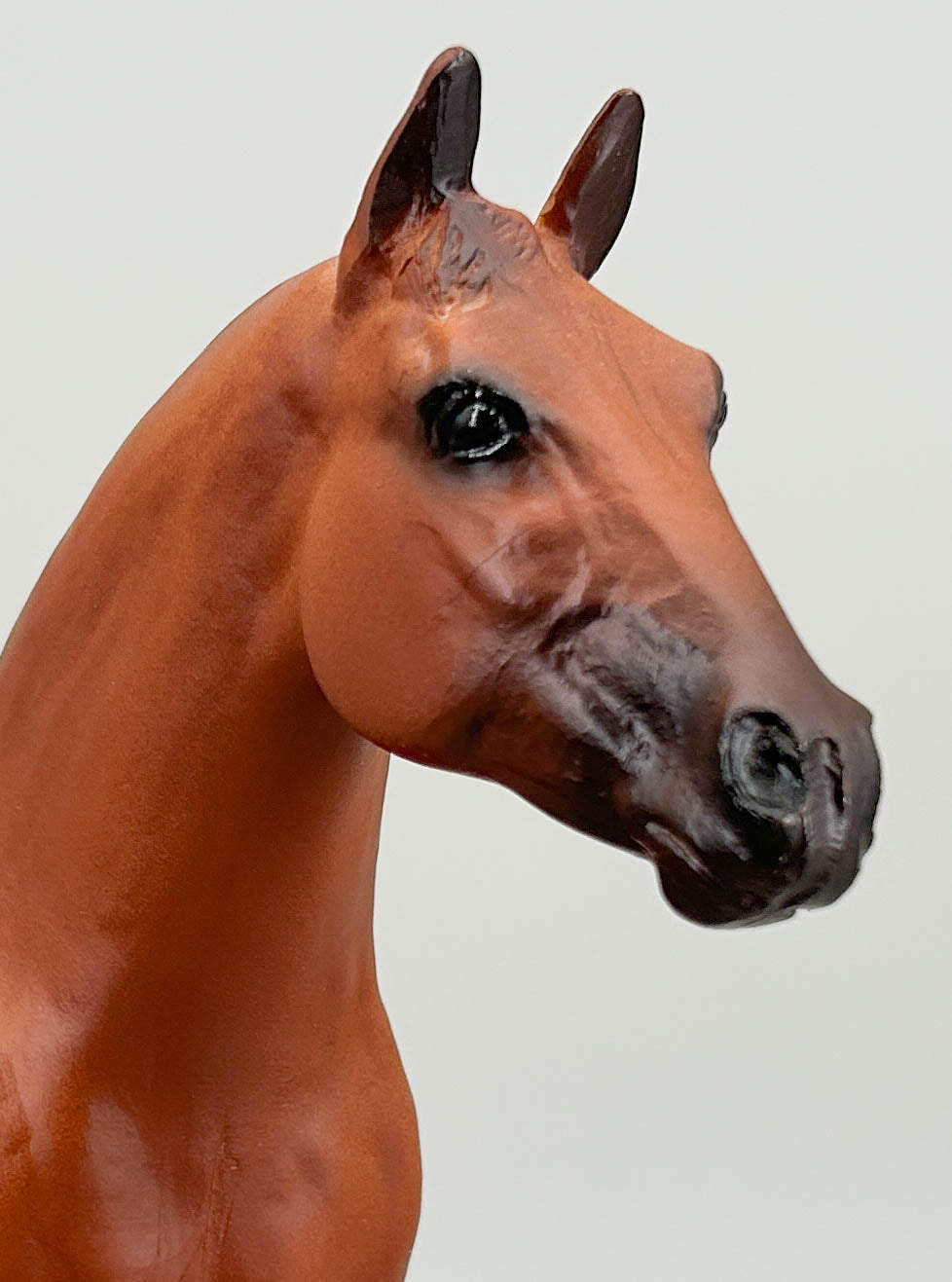 Ideal Quarter Horse ~ Progeny of Wimpy P-1