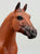 Ideal Quarter Horse ~ Progeny of Wimpy P-1