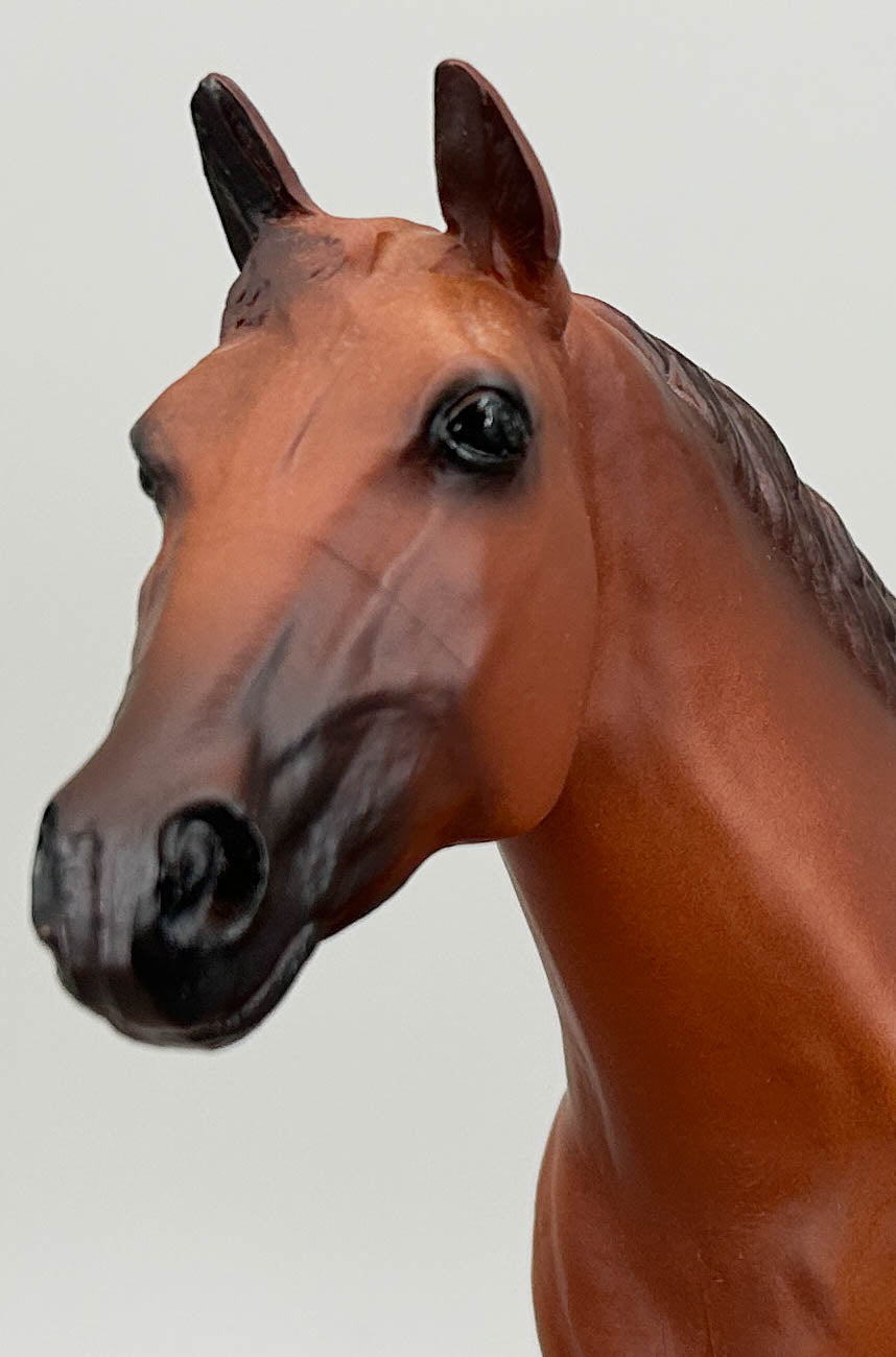 Ideal Quarter Horse ~ Progeny of Wimpy P-1
