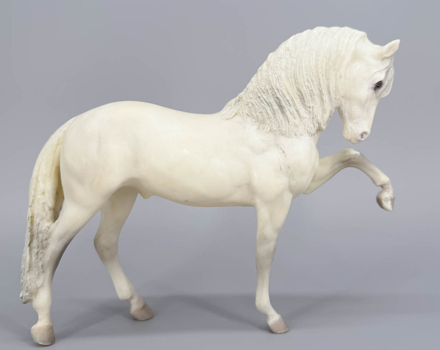 Legionario III - Original Release w/ Grey Dorsal Stripe (body)