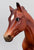 Loping Quarter Horse ~ Checkers