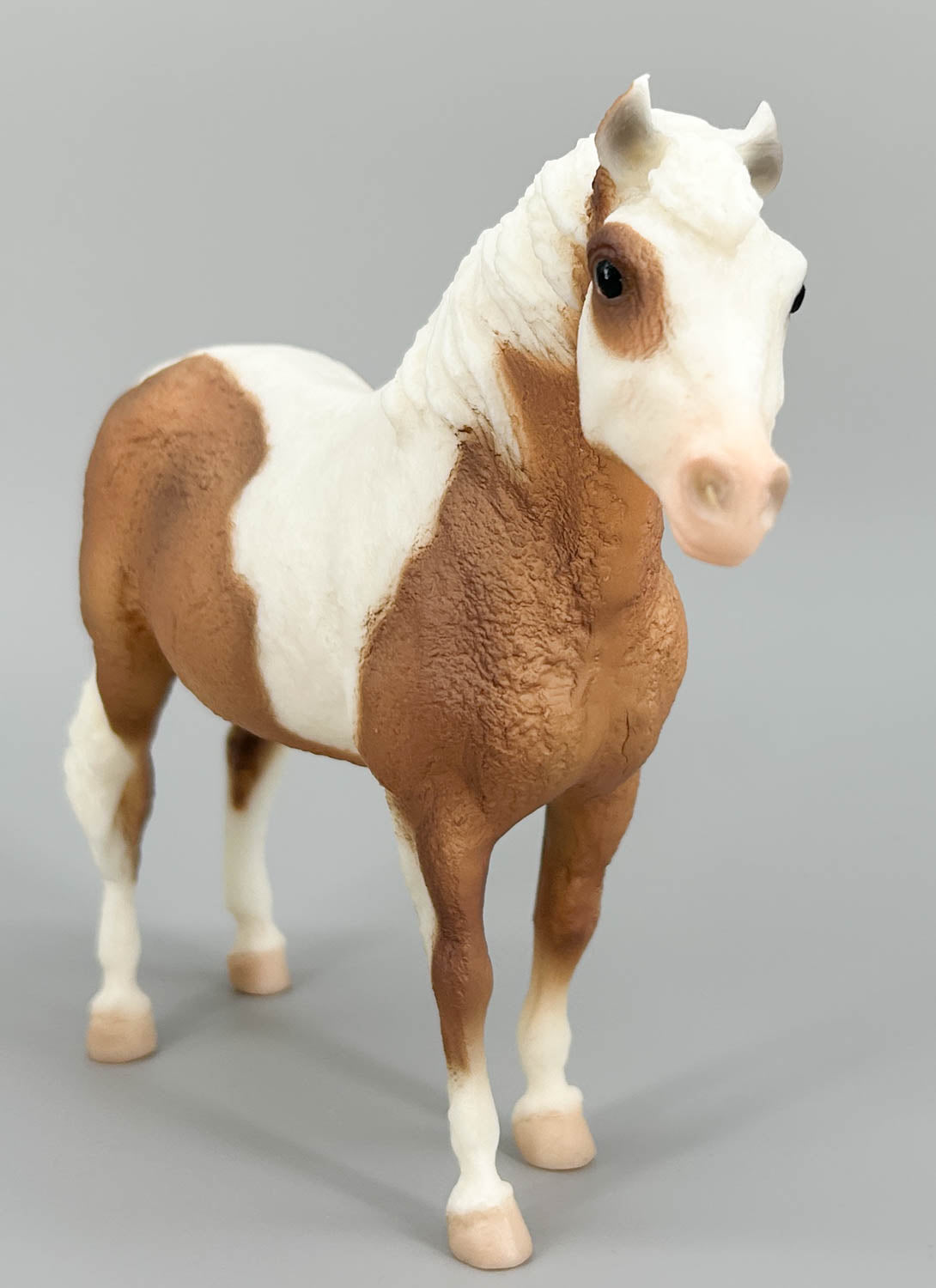 Misty of Chincoteague - Dark Variation
