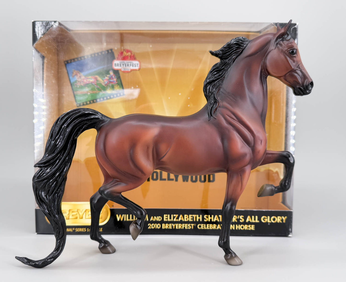 National Show Horse ~ All Glory