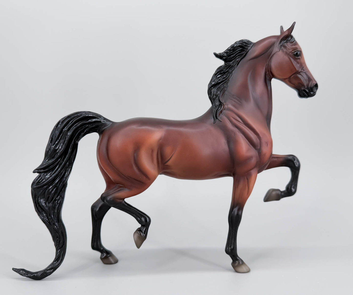 National Show Horse ~ All Glory