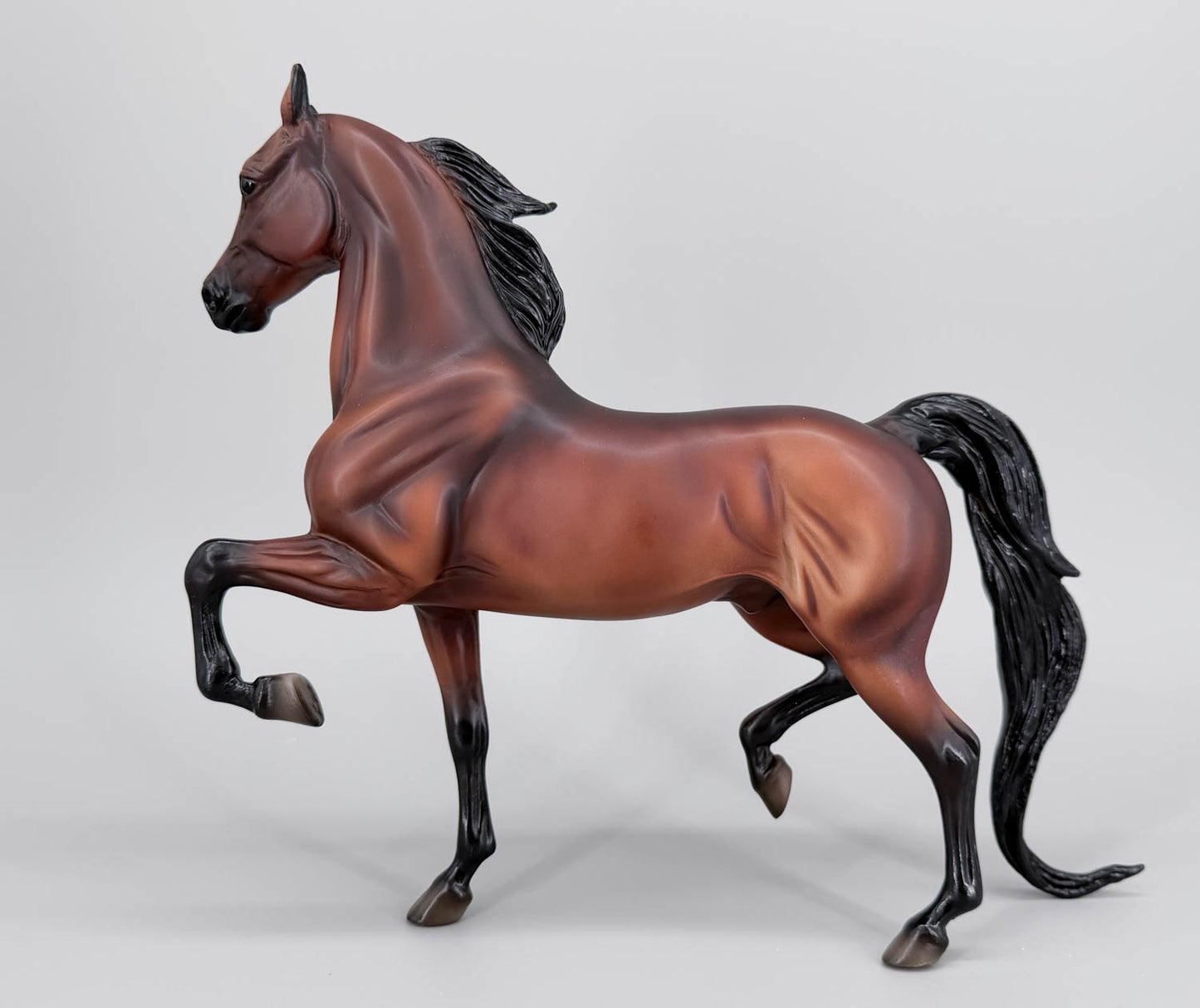 National Show Horse ~ All Glory