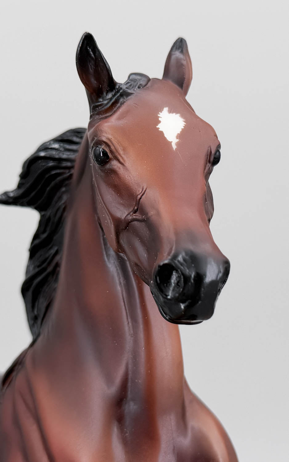 National Show Horse ~ All Glory