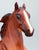 National Show Horse ~ Rejoice - 1998 BF Celebration Model