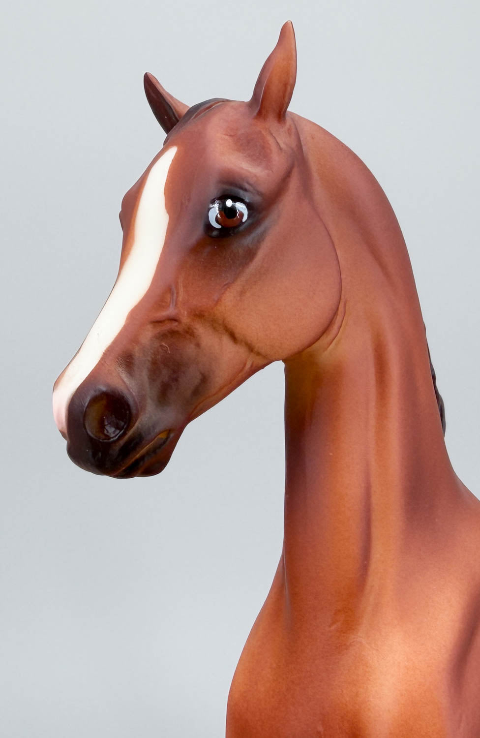 National Show Horse ~ Rejoice - 1998 BF Celebration Model