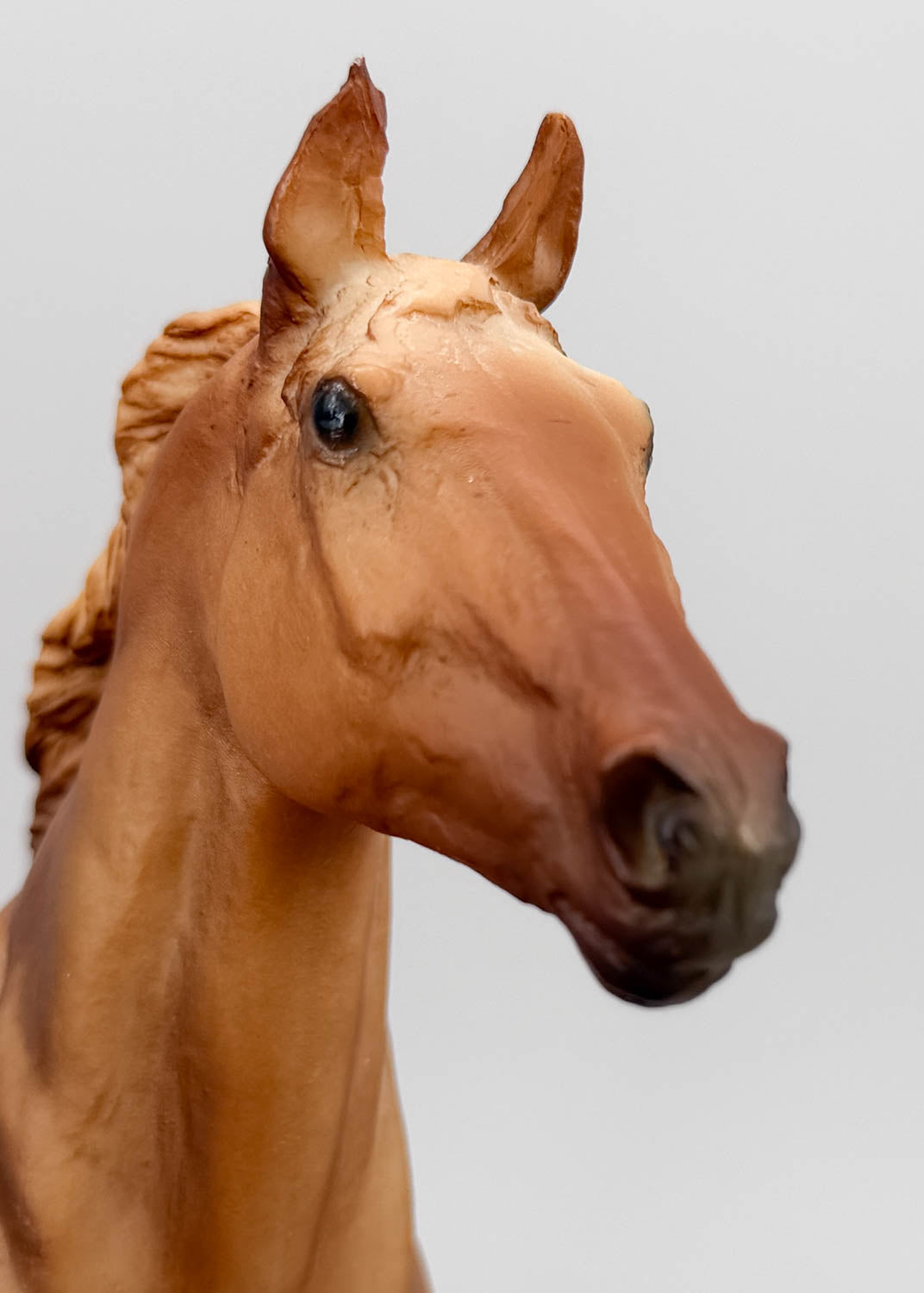 Phar Lap, Light Chestnut ~ Only 500 made! (shrinky)