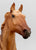 Phar Lap, Light Chestnut ~ Only 500 made! (shrinky)
