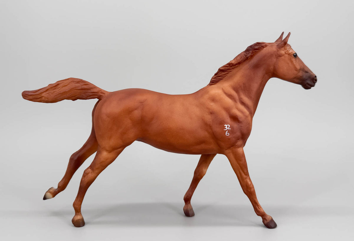 Phar Lap ~ Eros - 1999 US Equestrian Team SR