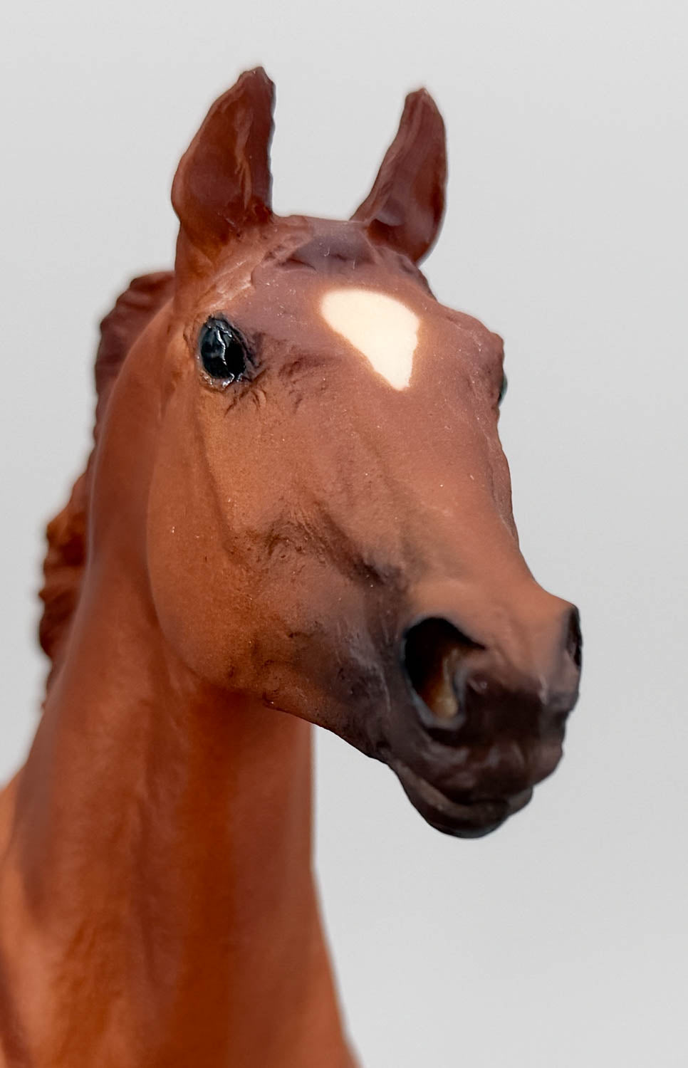 Phar Lap ~ Eros - 1999 US Equestrian Team SR