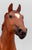 Phar Lap ~ Eros - 1999 US Equestrian Team SR