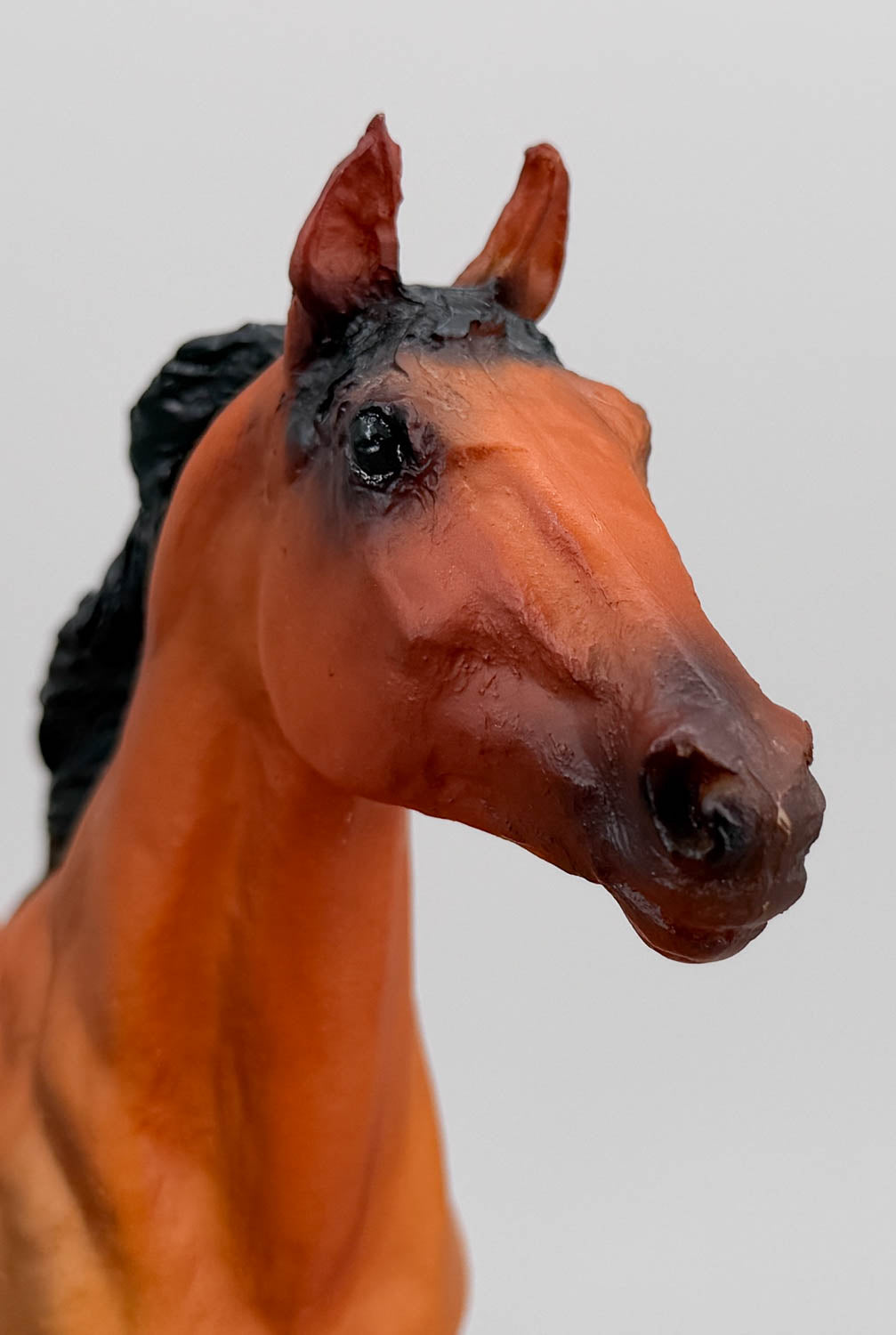 Phar Lap, Red Bay ~ Only 500 made! (shrinky)
