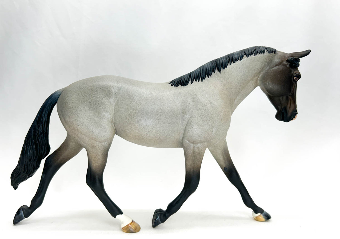 Palouse, Bay Roan - Custom by Amanda Dionne