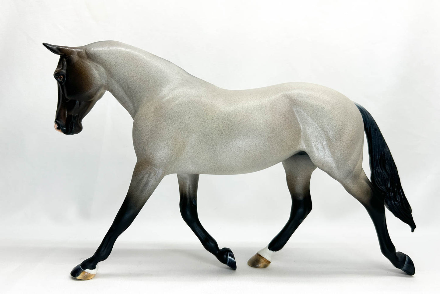 Palouse, Bay Roan - Custom by Amanda Dionne