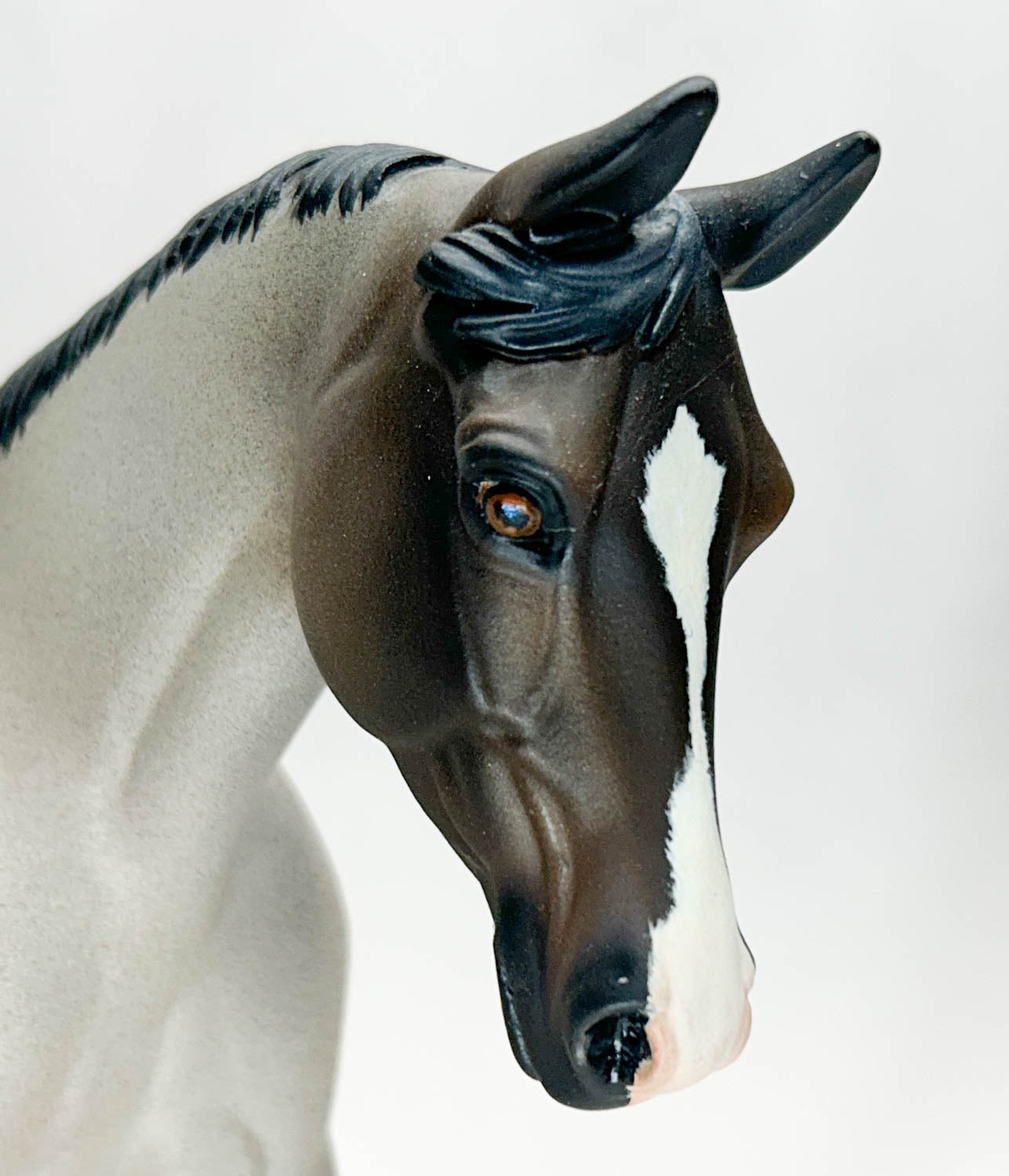 Palouse, Bay Roan - Custom by Amanda Dionne