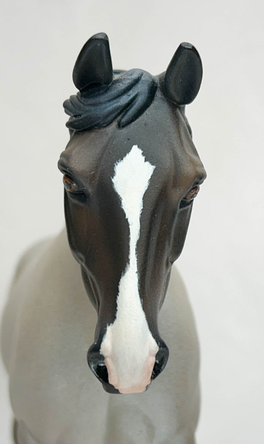 Palouse, Bay Roan - Custom by Amanda Dionne