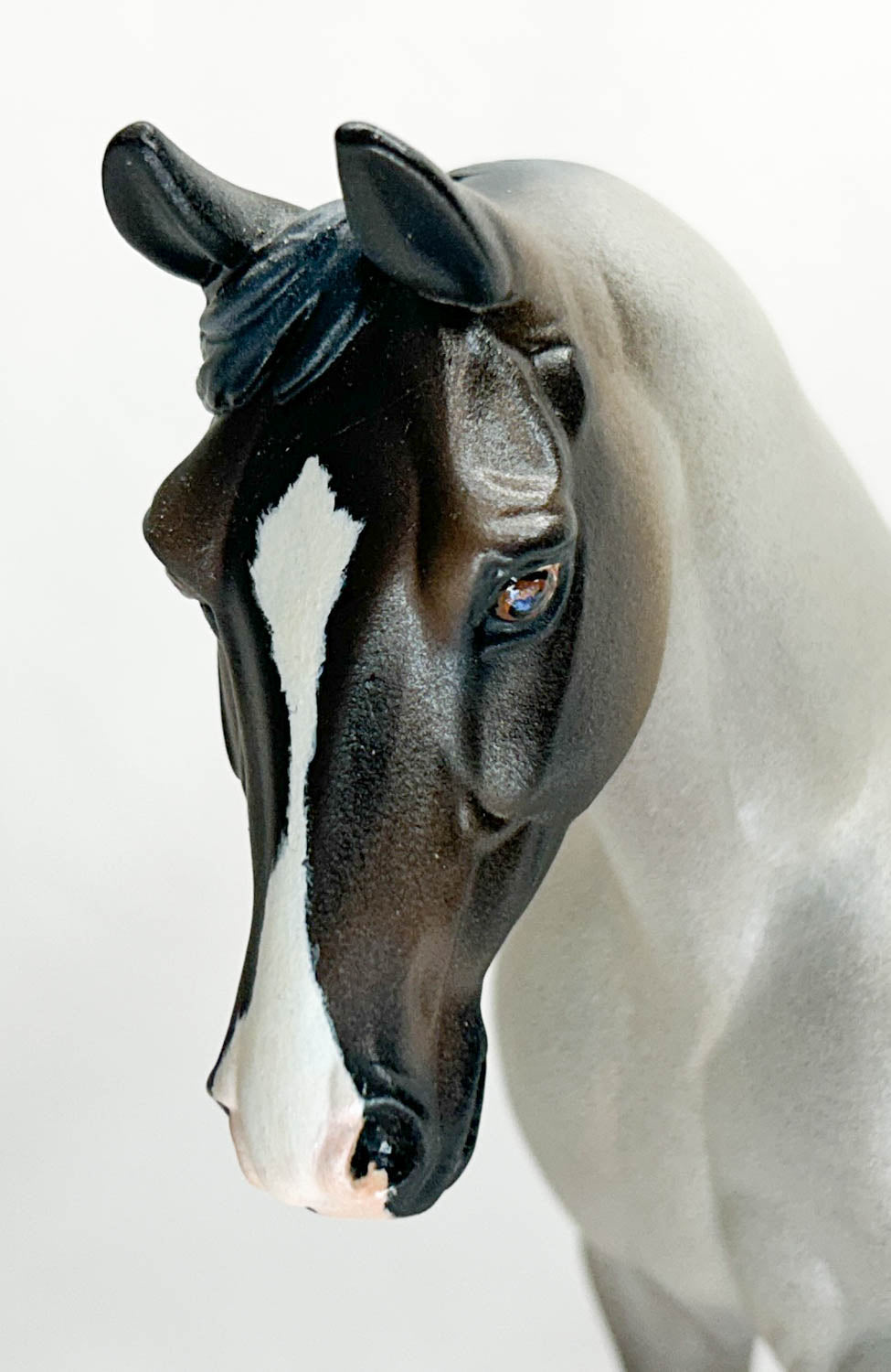 Palouse, Bay Roan - Custom by Amanda Dionne