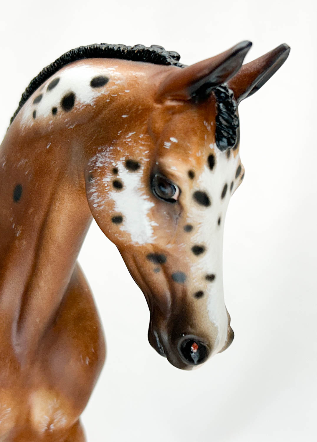 CHRISTMAS AUCTION: Stone Thoroughbred ~ Desing - Custom by Sheryl Leisure