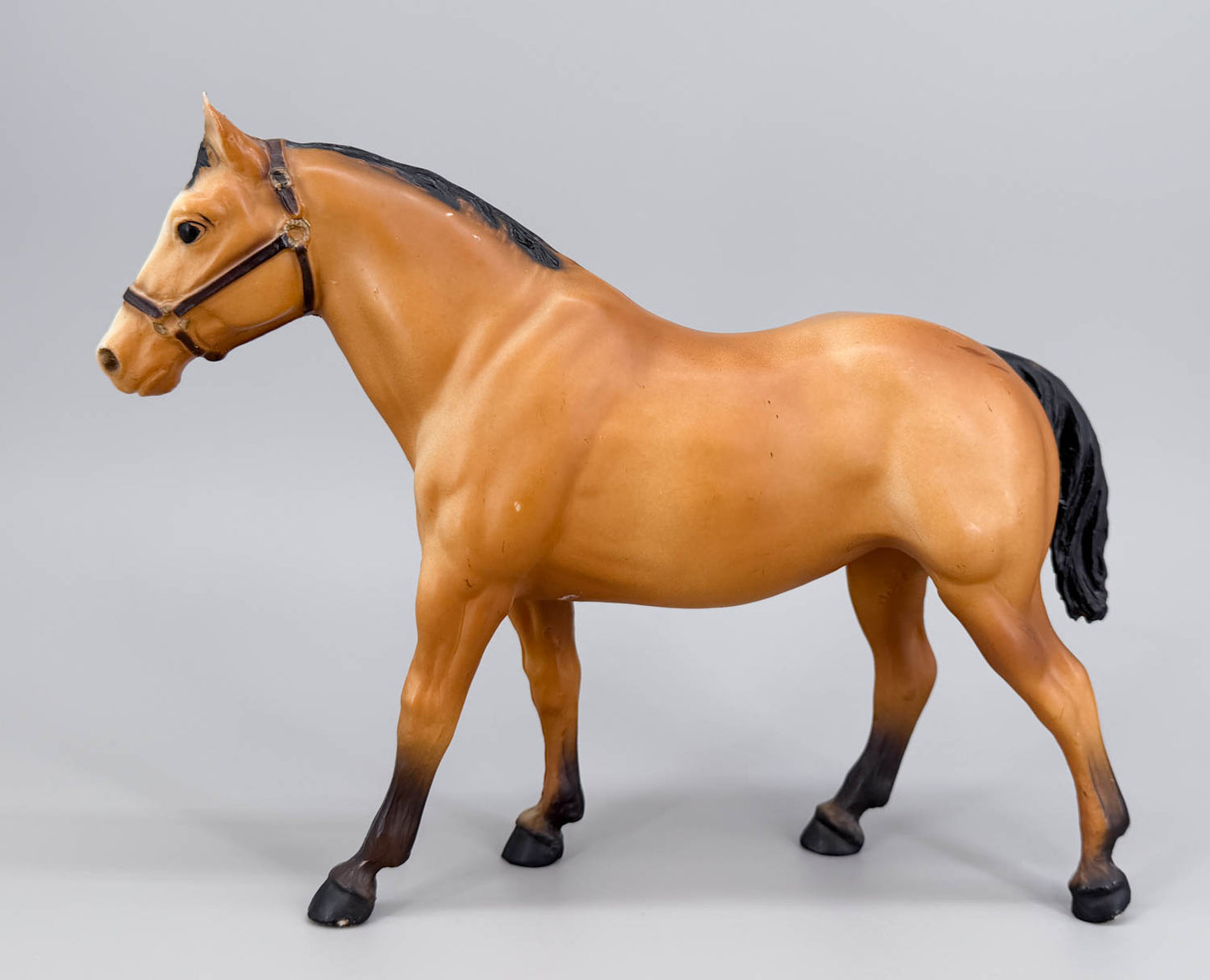 Quarter Horse Gelding ~ Two Bits, Buckskin (body)