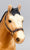 Quarter Horse Gelding ~ Two Bits, Buckskin (body)