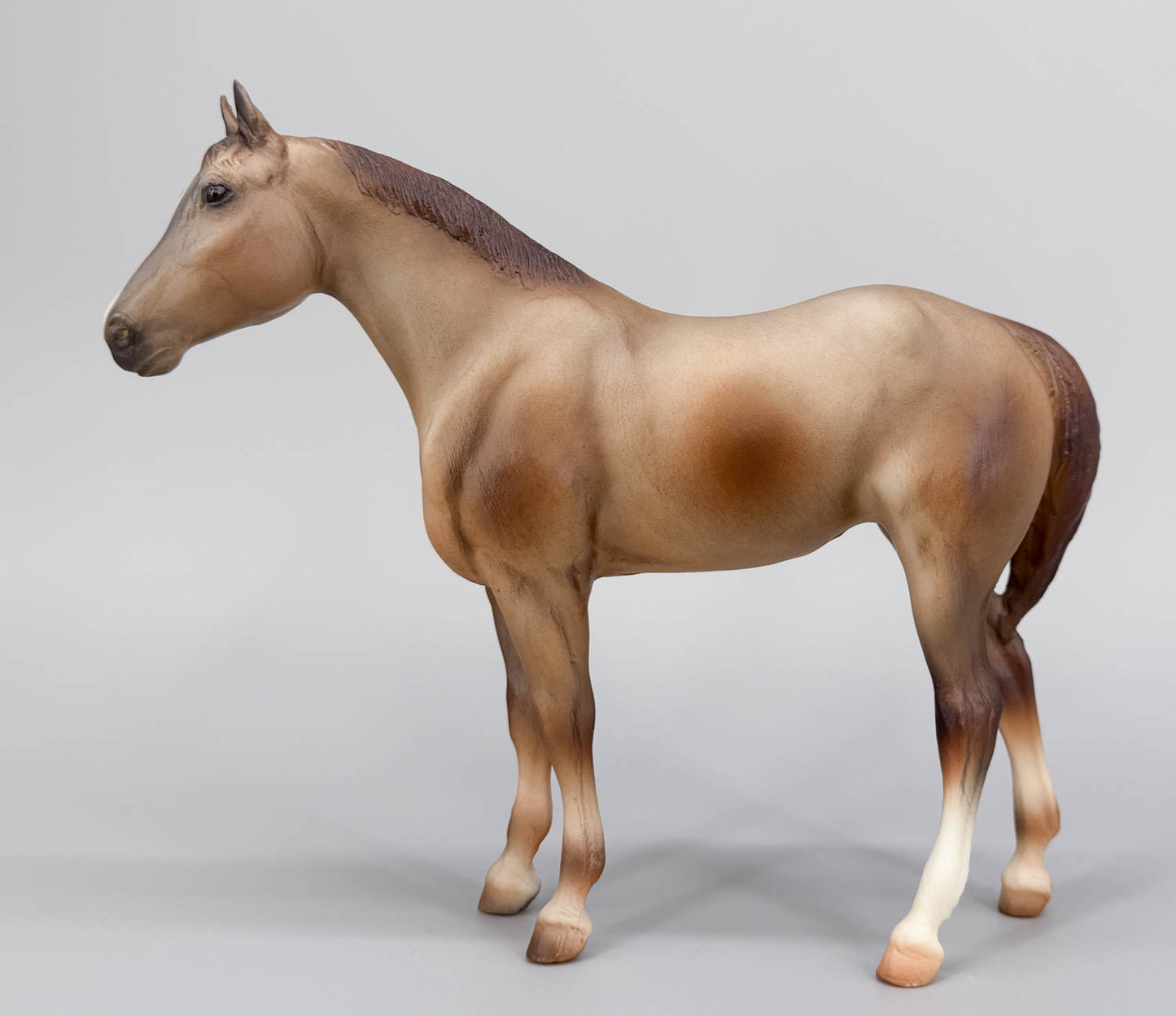 Quarter Horse Yearling ~ Calypso, Red Roan