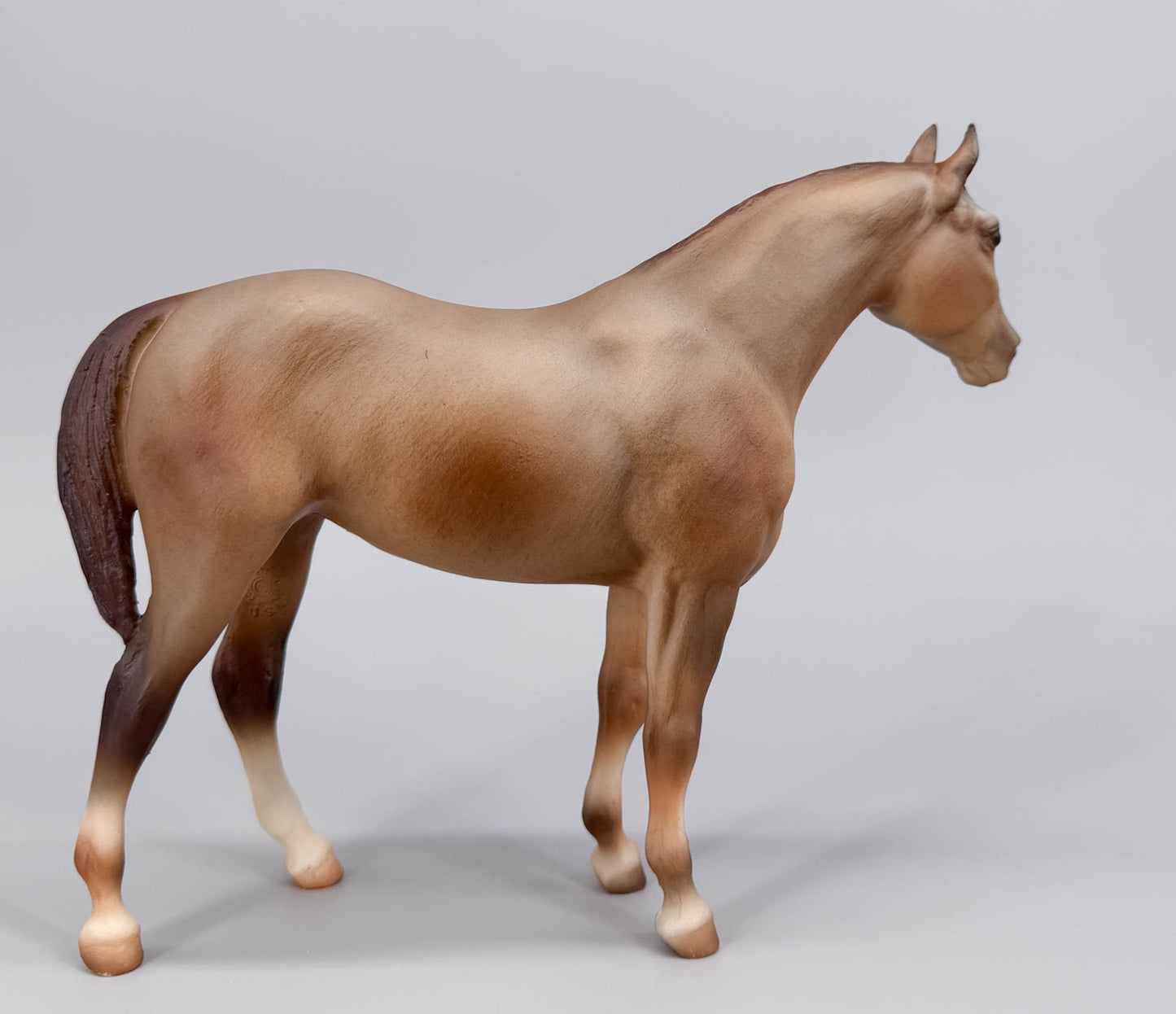 Quarter Horse Yearling ~ Calypso, Red Roan