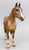 Quarter Horse Yearling ~ Calypso, Red Roan