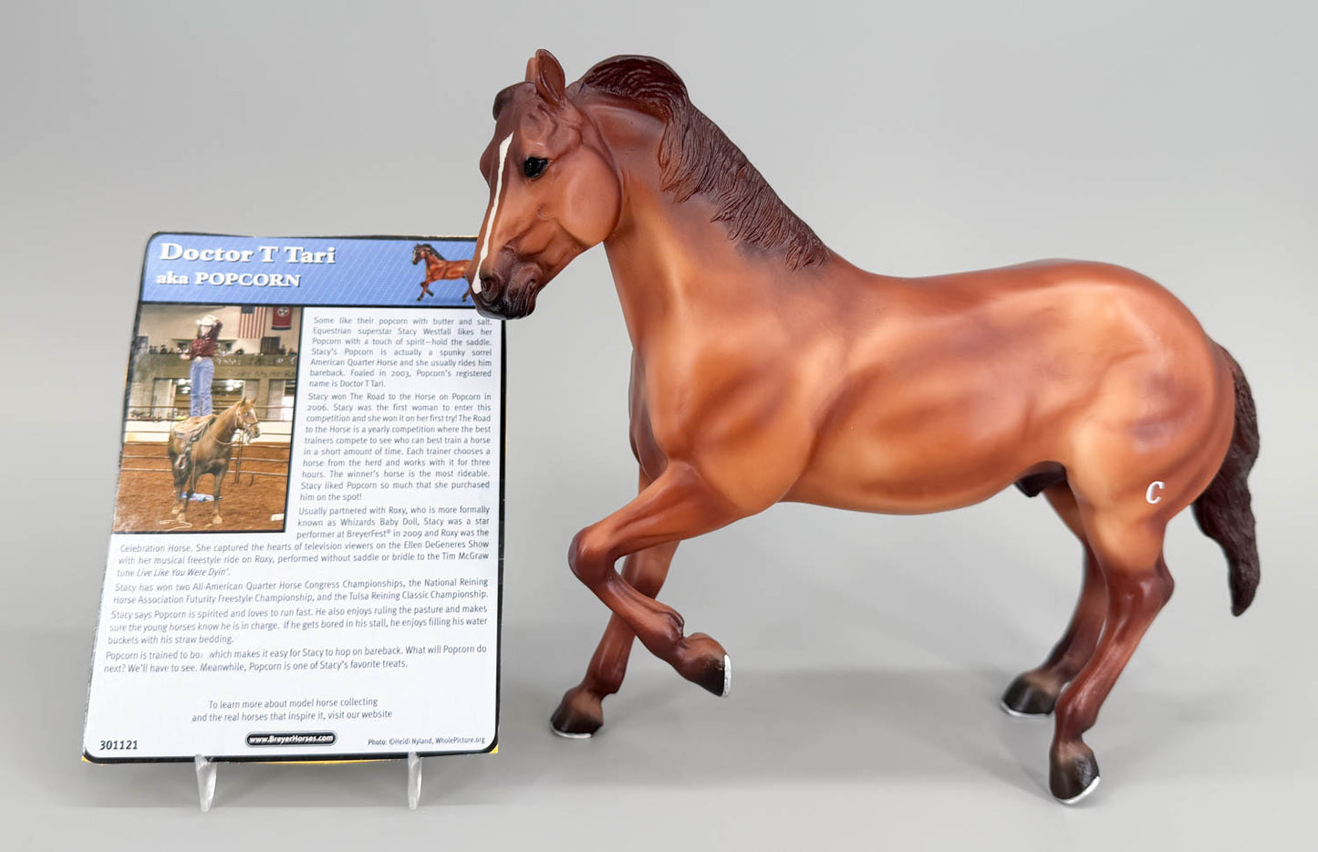 Ranch Horse ~ Doctor T Tari (aka Popcorn) - Tractor Supply SR