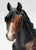 Running Mare ~ Special Delivery - 1995 SLT SR